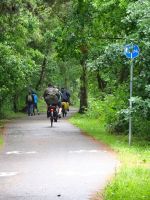 Ścieżki rowerowe w kierunku Kołobrzegu lub Dźwirzyna obejmujące pas nadmorski okolic Grzybowa.